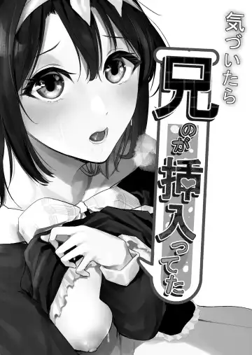 [Onapan] Kizuitara Ani no ga Haitetta Fhentai - Page 2