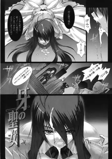 [Miss Black] Feuerig Fhentai - Page 29