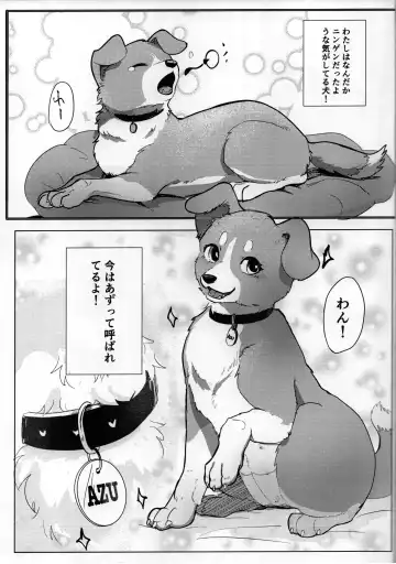 [Momou] Wonderful! 1 Fhentai - Page 2