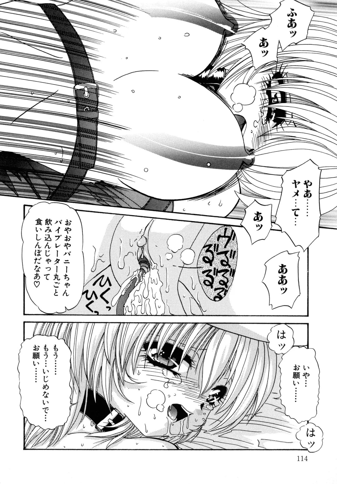 [Hazuki Shishimaru] Aigan Bishoujo-teki Seikatsu no Susume Fhentai - Page 114