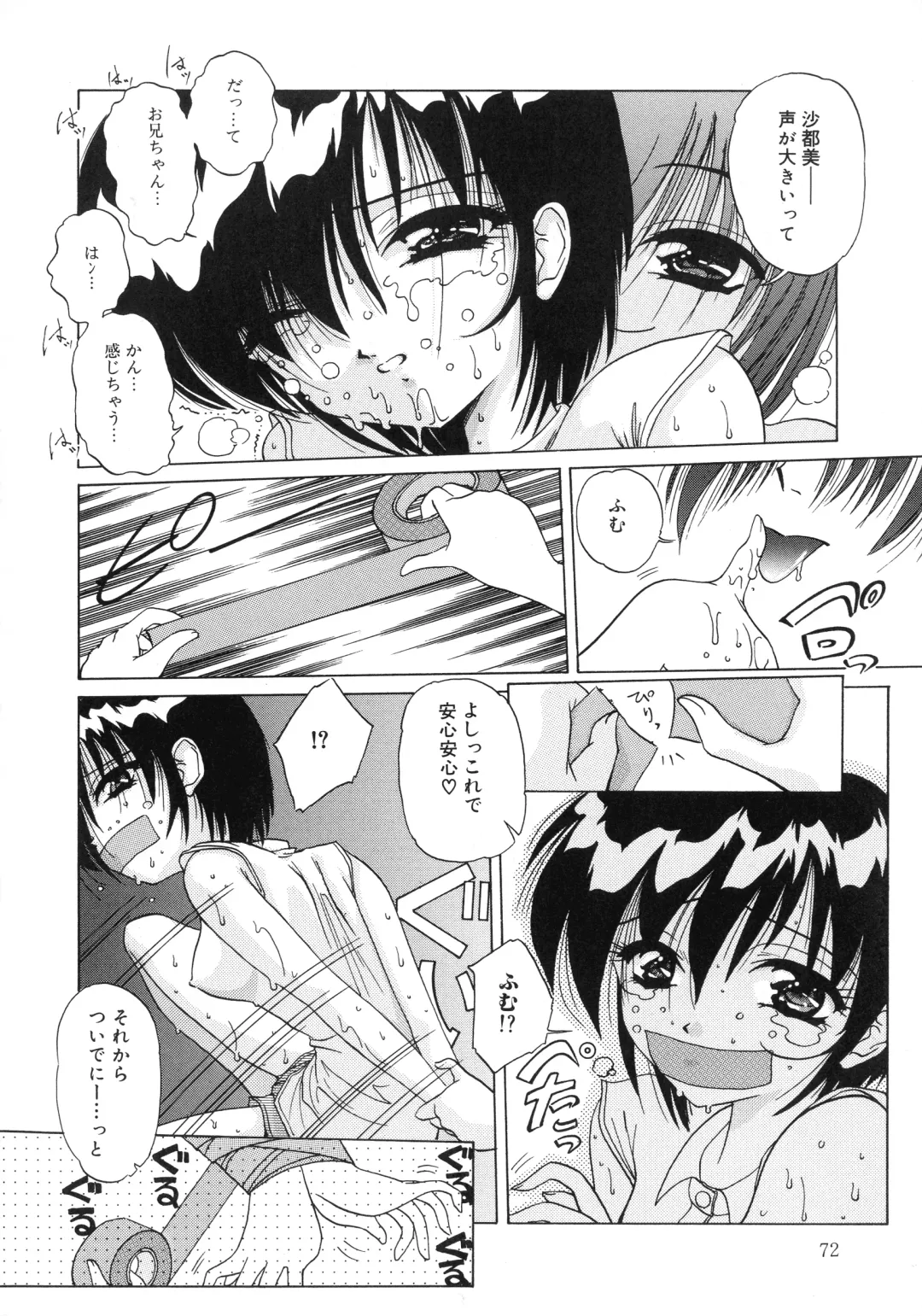 [Hazuki Shishimaru] Aigan Bishoujo-teki Seikatsu no Susume Fhentai - Page 72