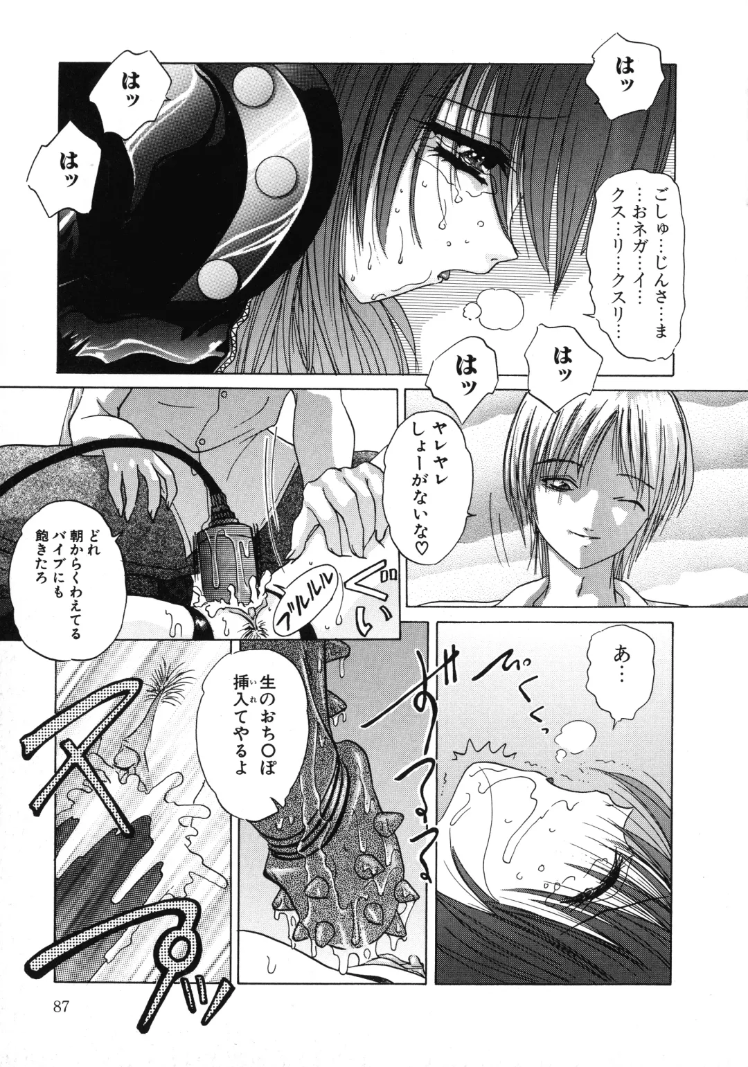 [Hazuki Shishimaru] Aigan Bishoujo-teki Seikatsu no Susume Fhentai - Page 87