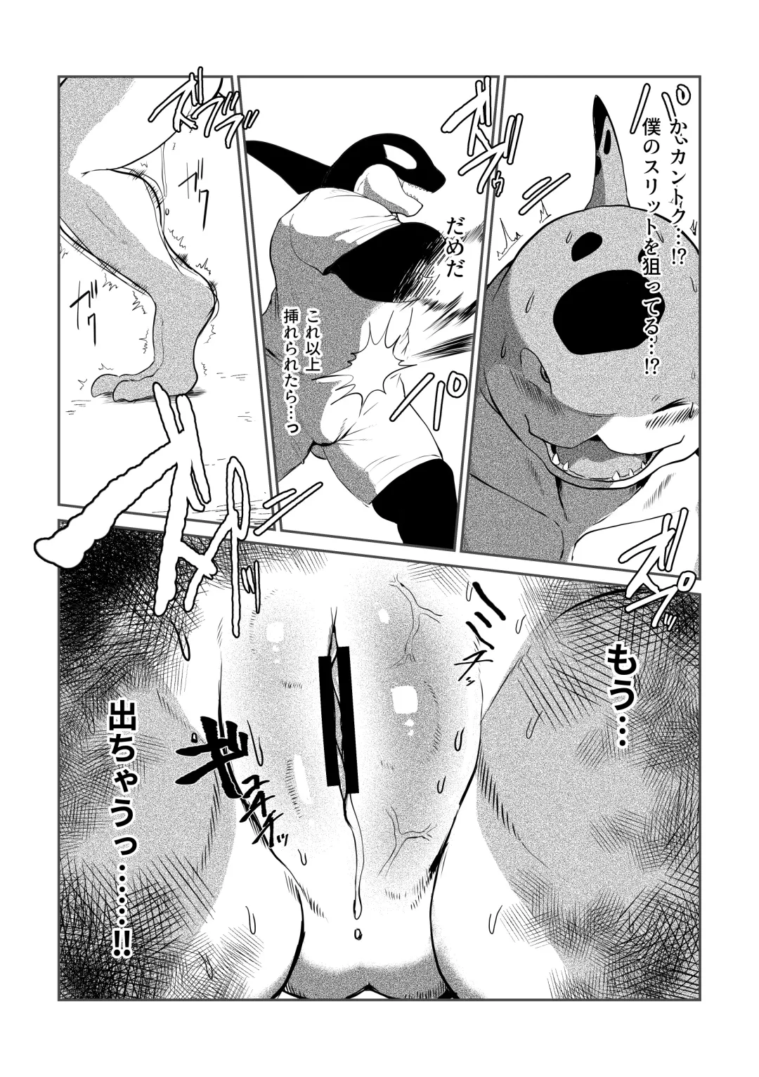[Kata] Tennis Ball ni Goyoujin! Fhentai - Page 12