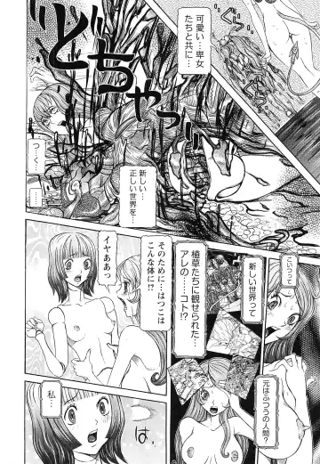 [Sagano Hellmer] Sei Ningyou No Kuni Fhentai - Page 192