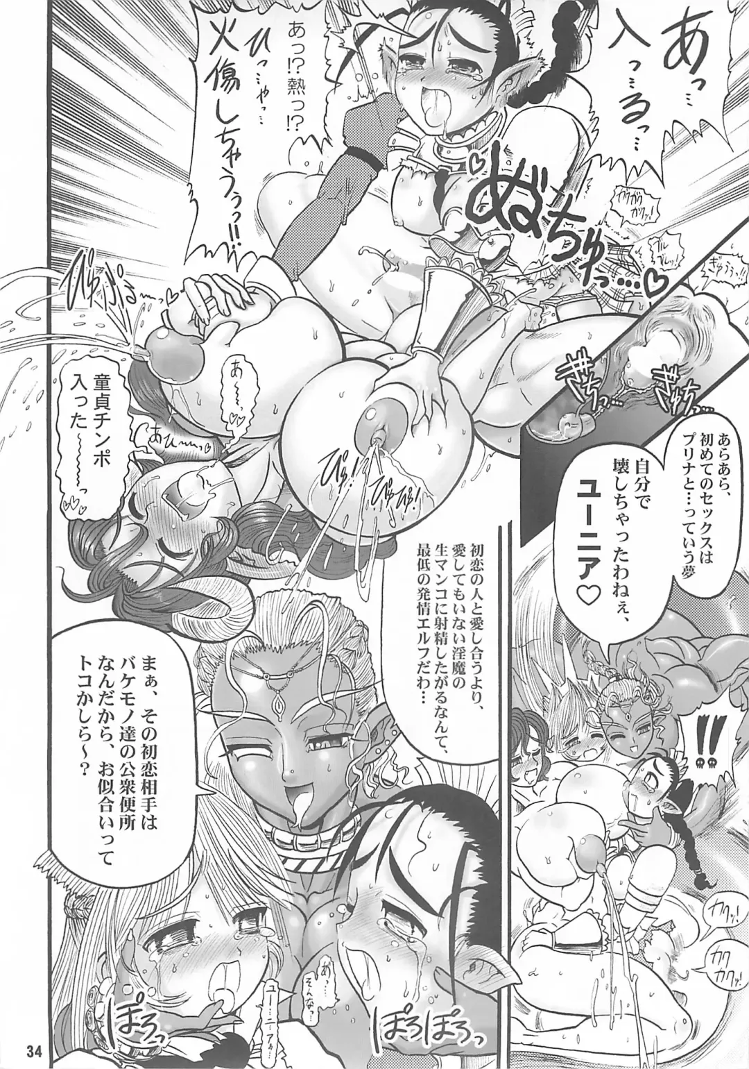 [Rebis] TGWOA Vol. 14 - Meikyuu Oujo Prina Fhentai - Page 33