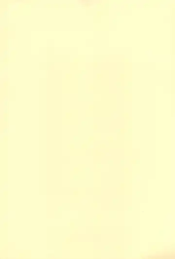 [Donguri] Sanji no Oyatsu 2 Fhentai - Page 37