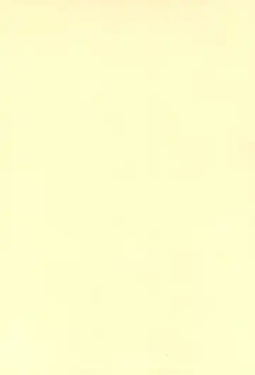 [Donguri] Sanji no Oyatsu 2 Fhentai - Page 38