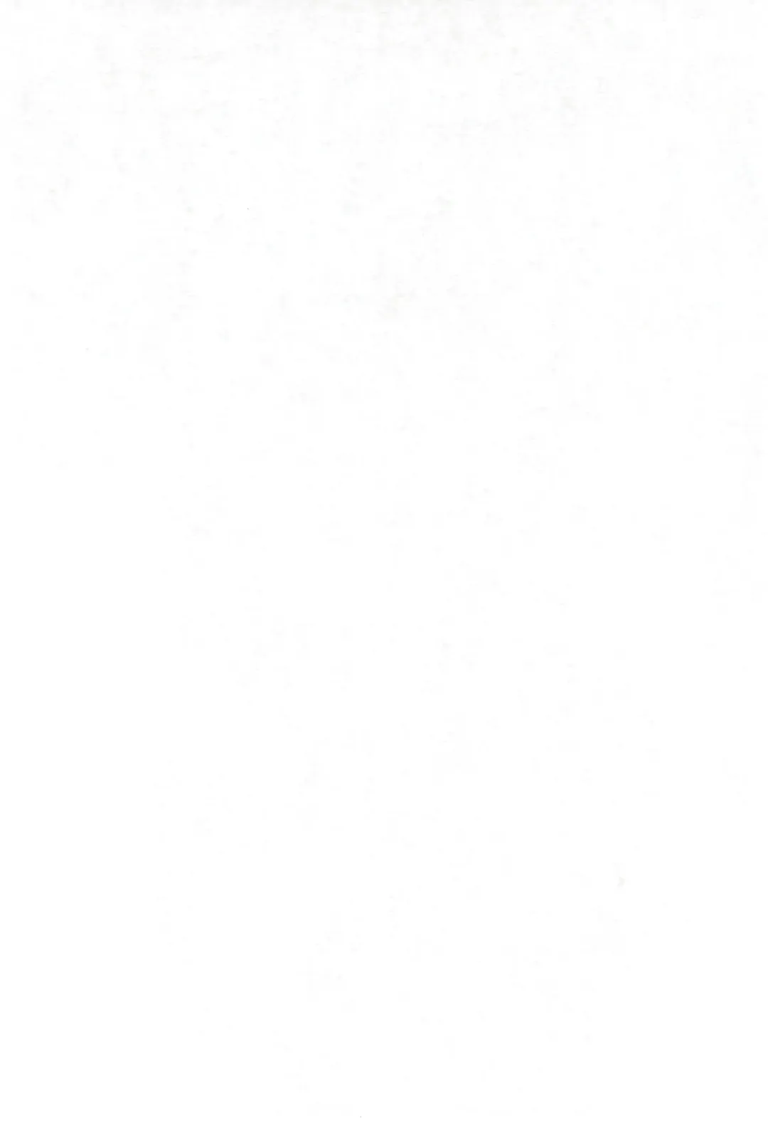 Neko Situ Plus α Fhentai - Page 4