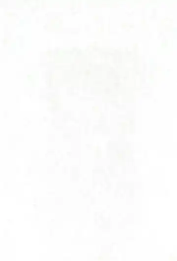 Neko Situ Plus α Fhentai - Page 3