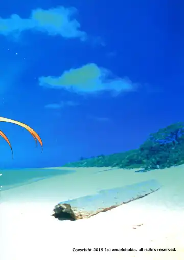 [Tomomimi Shimon] Futari dake no Minami no Shima de Nero to Icha Pako 2 Fhentai - Page 23