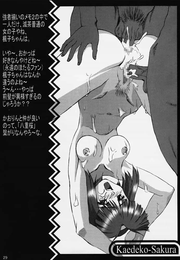 [Martan] Cherry Illusion 2nd Fhentai - Page 25