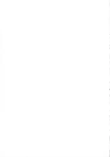 [U-jin] Bokinbako 2 Fhentai - Page 198