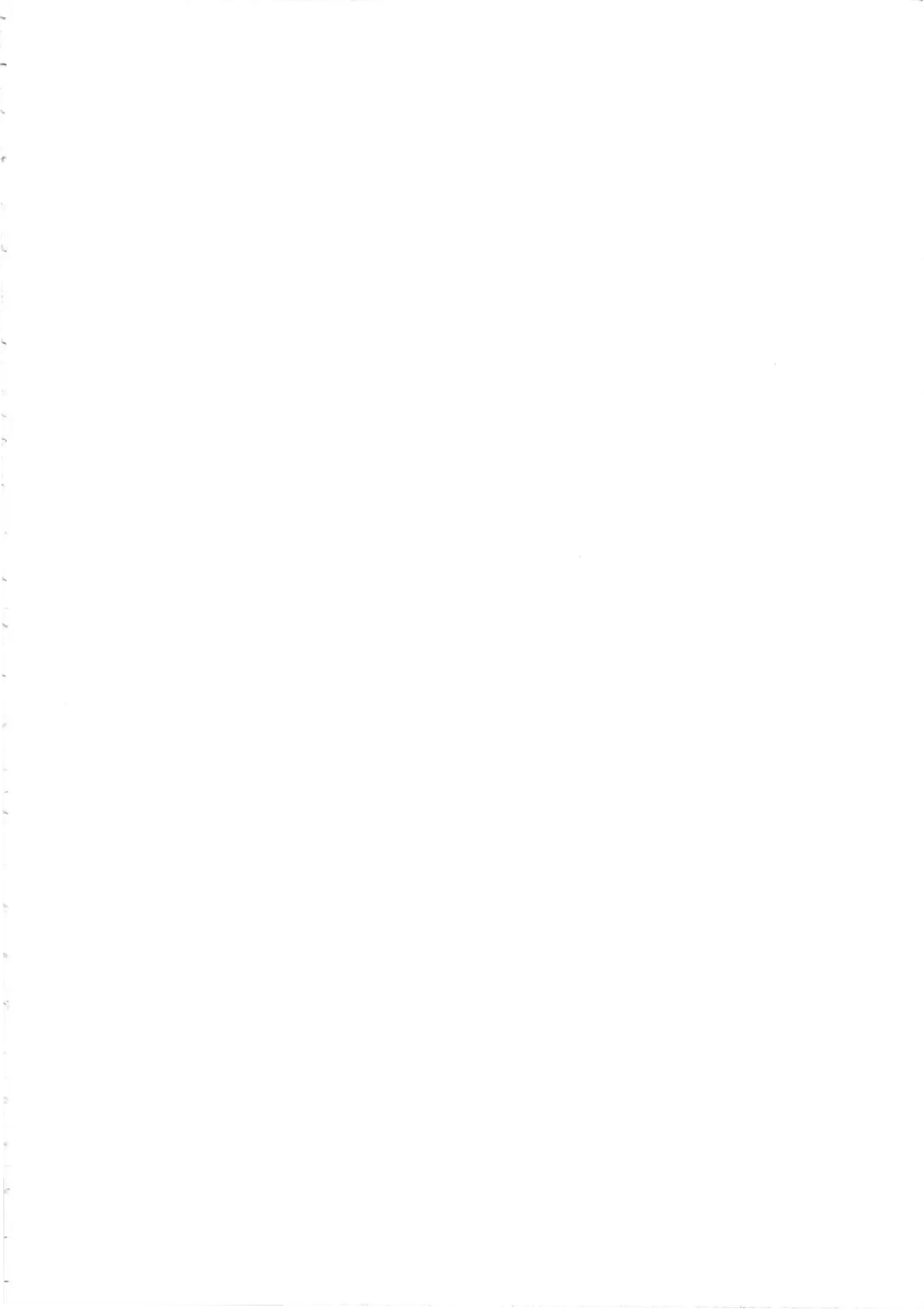 [Nanatsu No Umi] Funny Bunny Fhentai - Page 5