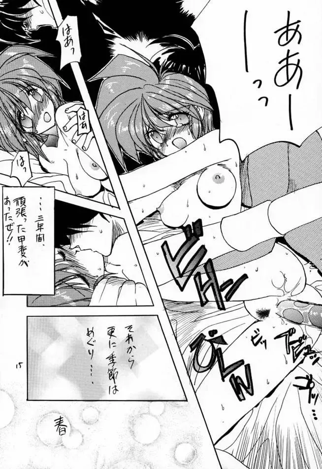 [Hagure Metal] DokiDoki Memorial Private Album Fhentai - Page 14