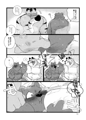 [Hyaku] Kansai-ben Tora ossan to Sentou de Ichaichasuru Hon Fhentai - Page 12