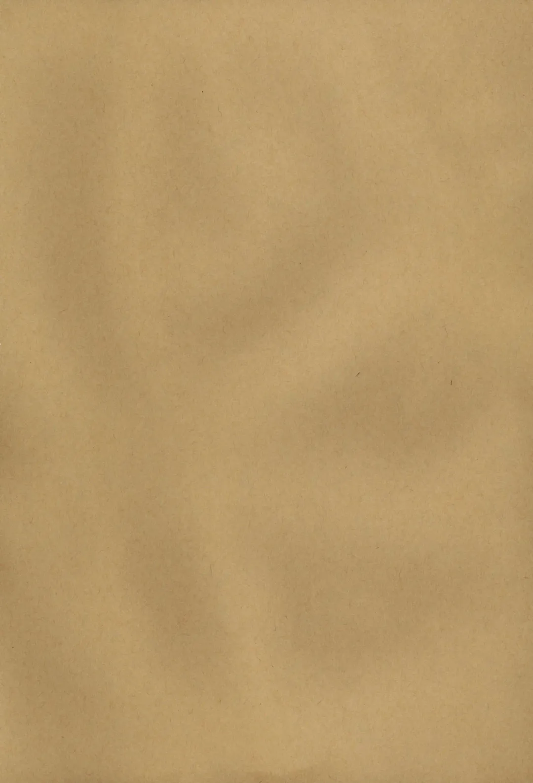 [Endou Okito] Kurokami no Sarasate - SARASATE ob Brunet hair. Fhentai - Page 9