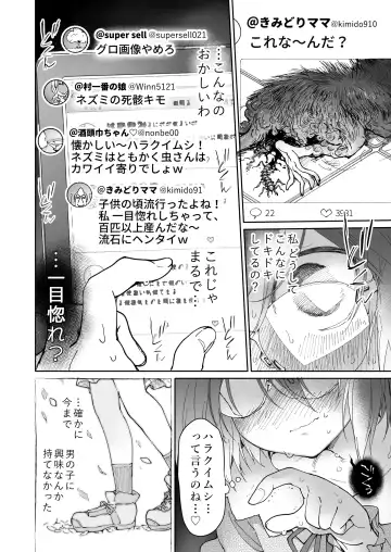 [Midori No Rupe] Stocking to Kiseichuu Fhentai - Page 31