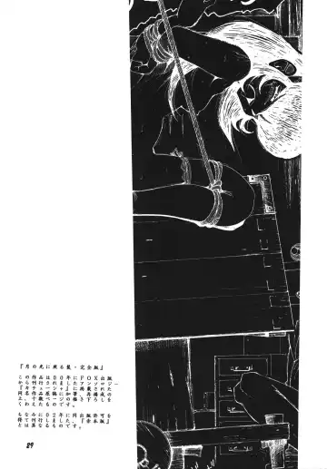 [Oosaka Hananoko] Shining hair by the moonlight -full version- Fhentai - Page 29