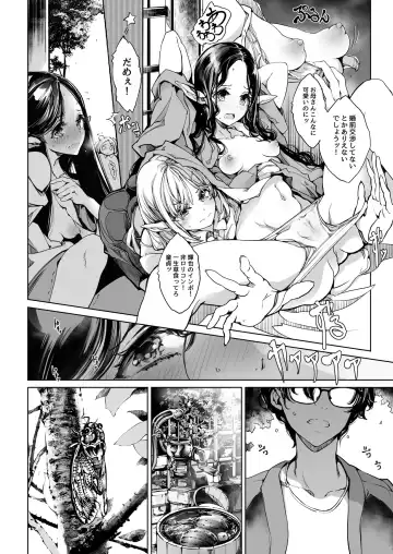 [Endou Okito] Elf no Yomeiri Re-Bridal Fhentai - Page 13