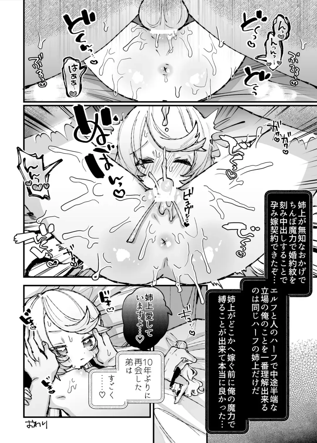 [Guts Shihan] Nanimo Shiranai Muchi Ane o Haramasete Ore no Yome ni Suru Hanashi Fhentai - Page 14