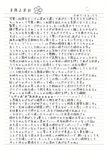 [Sekine Irie] Yuri Ryona Junai Imoto to. Hon Fhentai - Page 27