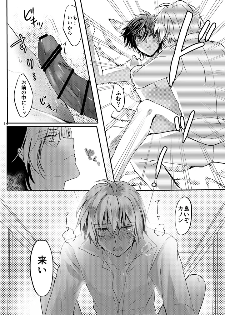 [Mari Y] Maou-sama wa Yuusha ga Osuki Fhentai - Page 13