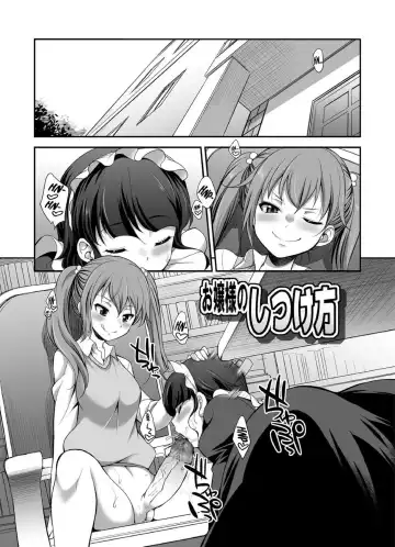 [Gekka Kaguya] Ojou-sama no Shitsukekata Fhentai - Page 3