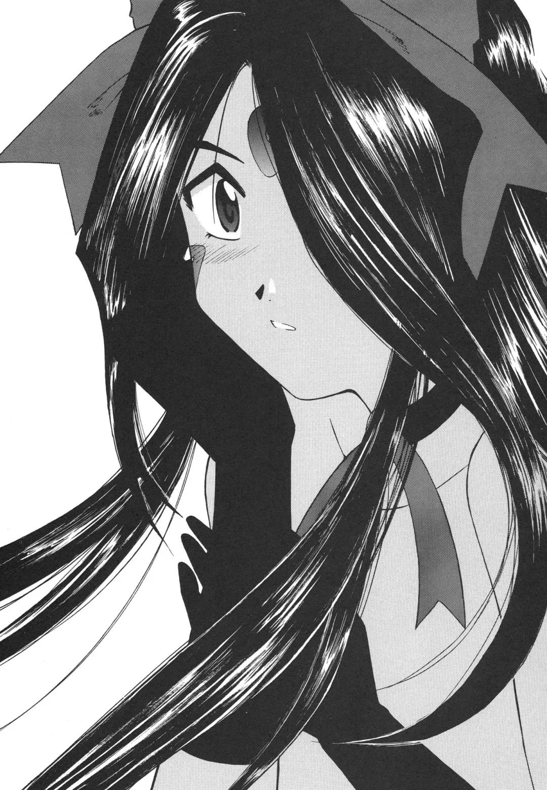 [Bonehead] Himitsu no Skuld Fhentai - Page 3