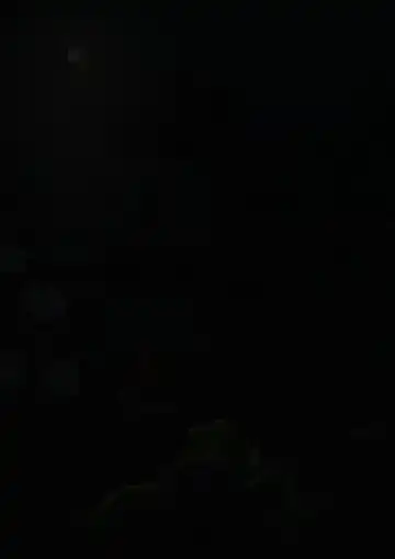 Lolwi Frog Fhentai - Page 144