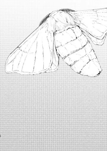 [Solopipb] Shiragasane Soushuuhen Koromo Fhentai - Page 41