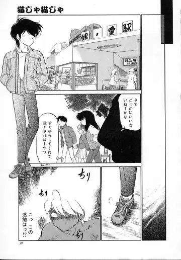 [Maka Fushigi] Neko ja neko ja 4 Fhentai - Page 44