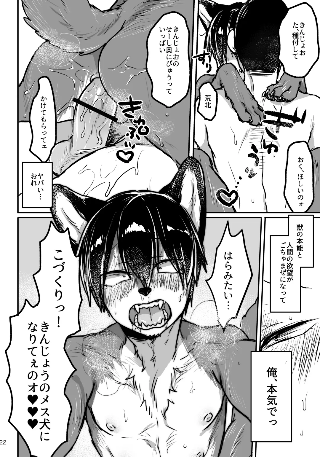 Chocolate Wolf Fhentai - Page 21