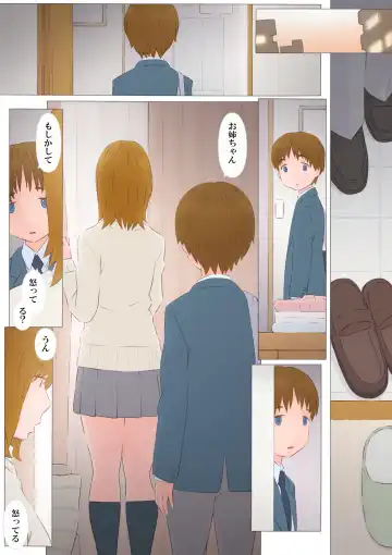 [Ponfaz] Onee-chan to Boku Fhentai - Page 3