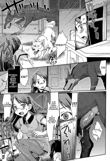 [Souko Souji] Ureshi Hazukashi Doubutsu Aigo - Hajimete no Inukan | ЗАЩИТИ ЖИВОТНЫХ ВЕСЕЛО И ПРИЯТНО - ПЕРВЫЙ РАЗ С СОБАКОЙ Fhentai - Page 11
