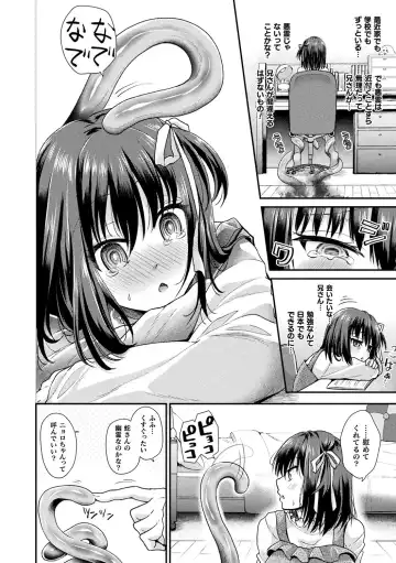 [Tanenashi Miya] Boku no Mesubuta-chan Saiminjutsu de Hameotoshi Fhentai - Page 24