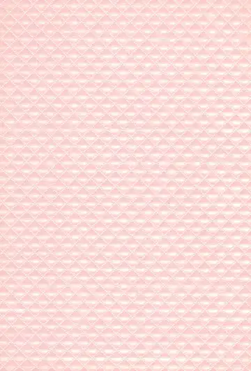 [Jun] Youkoso! Suteki na Machi Elmore e Fhentai - Page 3