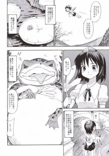 [Fujiwara Shunichi] Touhou Ukiyo Emaki - Tanpen Sairokushuu 2005 Fhentai - Page 5