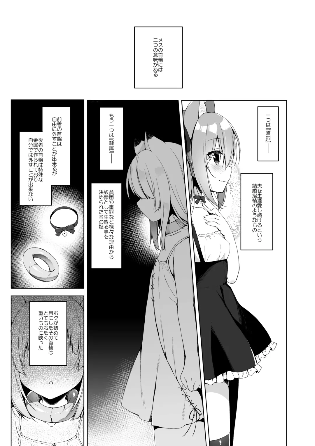 [Ichiri] Boku no Risou no Isekai Seikatsu - My ideal different world life  3 Fhentai - Page 4