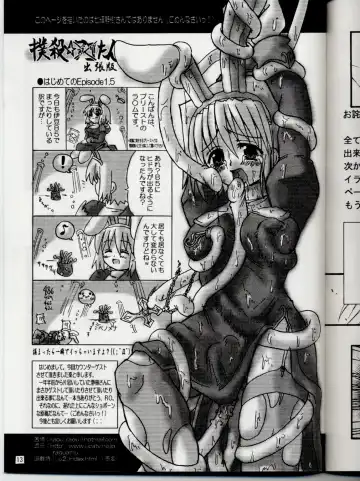 [Nanaki Seijyu] Ragnarok Fantasy Fhentai - Page 12