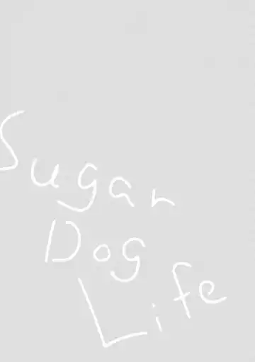 [Yoriko] Sugar Dog Life Ch. 1-6 番外+后记 Fhentai - Page 137
