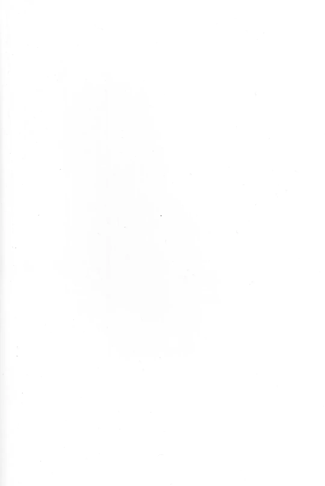 [Wise Speak] Ryousai Oneshota Tamamo-chan | Good Oneshota Wife Tamamo-chan Fhentai - Page 2