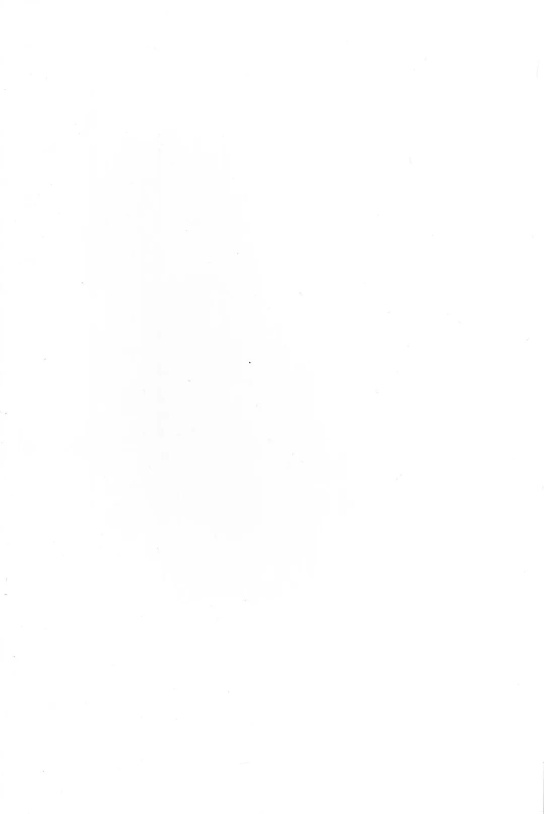 [Wise Speak] Ryousai Oneshota Tamamo-chan | Good Oneshota Wife Tamamo-chan Fhentai - Page 27