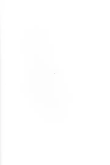 [Wise Speak] Ryousai Oneshota Tamamo-chan | Good Oneshota Wife Tamamo-chan Fhentai - Page 2