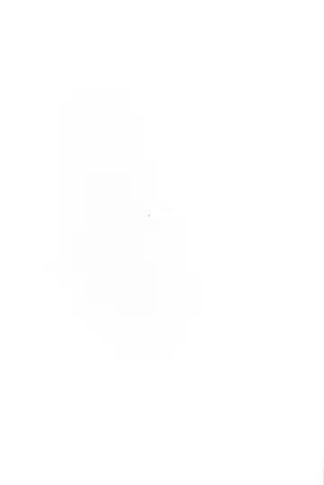 [Wise Speak] Ryousai Oneshota Tamamo-chan | Good Oneshota Wife Tamamo-chan Fhentai - Page 27