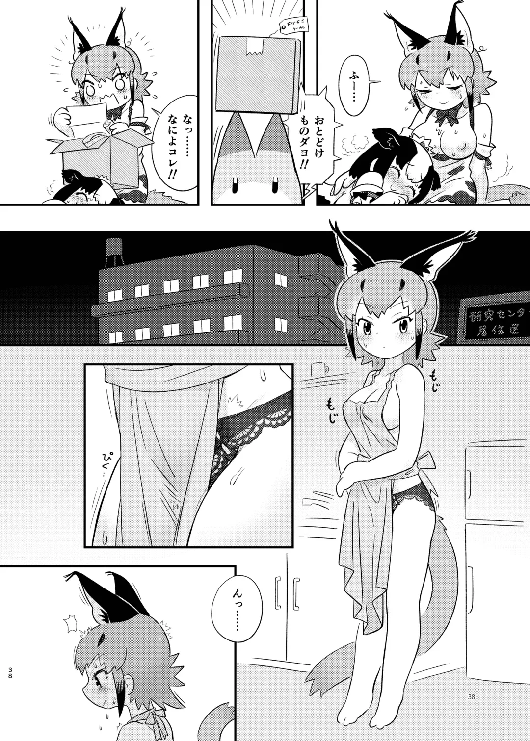[Dull - Milli] Naniyo~! Caracal Mama Goudou Fhentai - Page 38