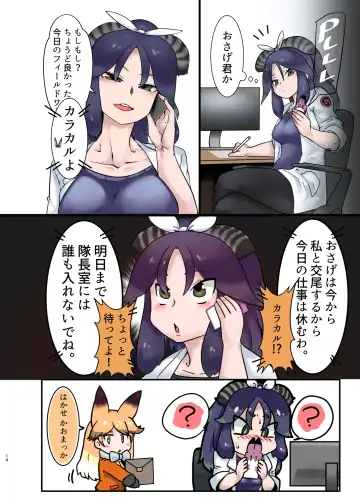 [Dull - Milli] Naniyo~! Caracal Mama Goudou Fhentai - Page 14