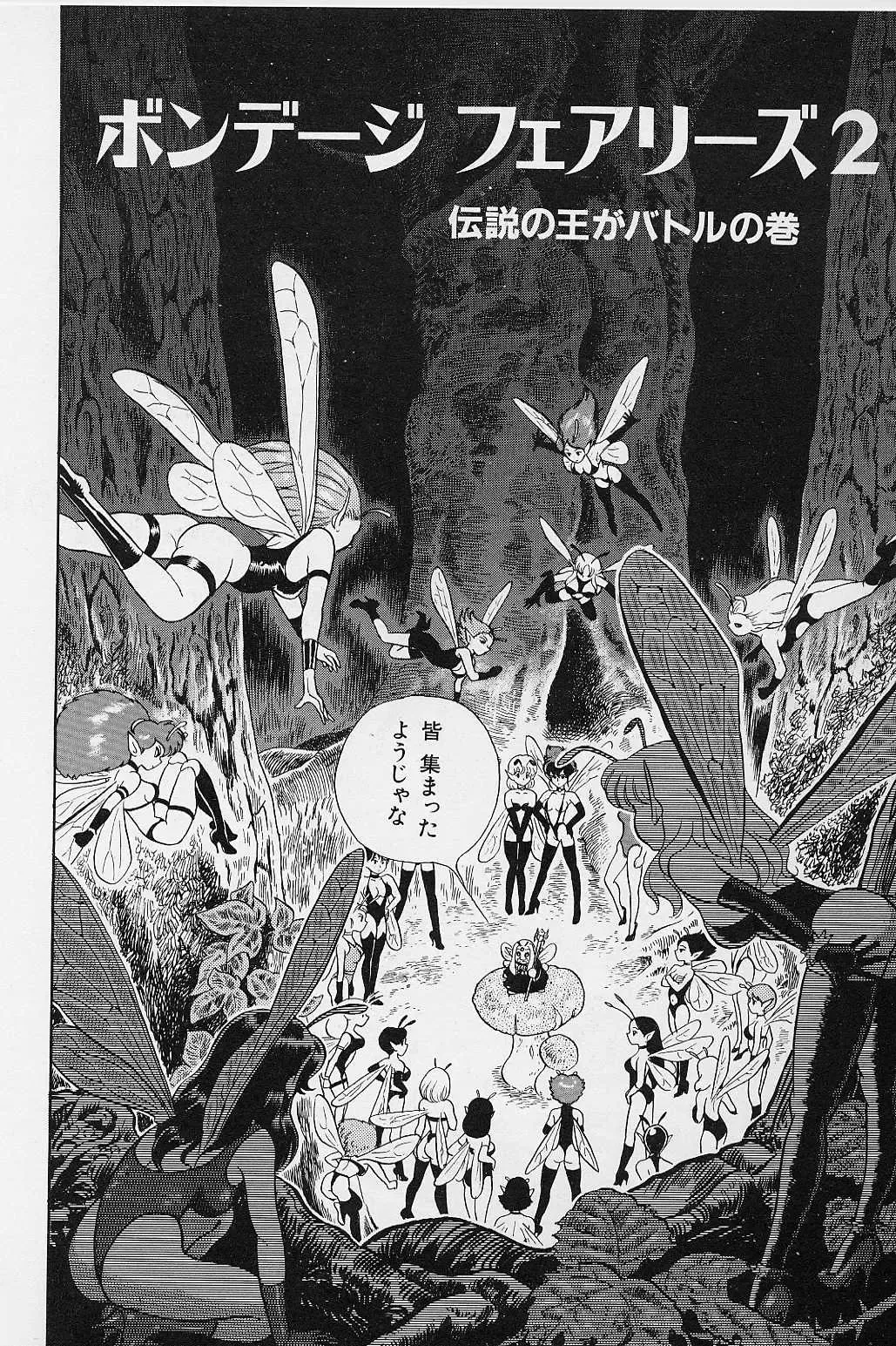 [Kondom] Bondage Fairies Vol. 2 Fhentai - Page 45