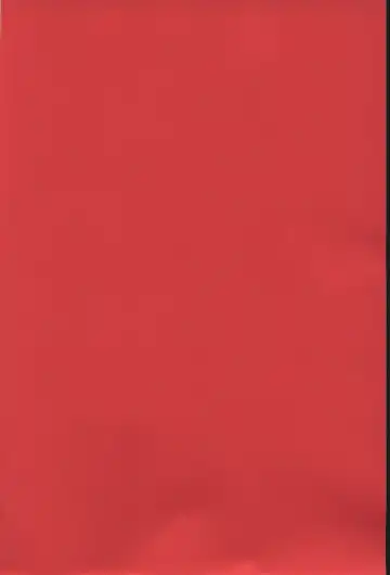 [Yukiyanagi] Yukiyanagi no Hon 6 Morrigan Leather Type Fhentai - Page 2