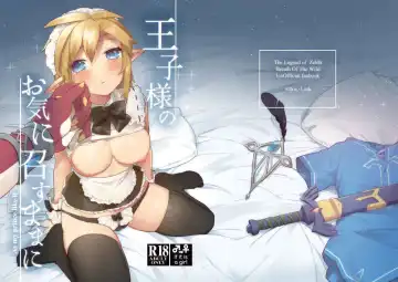 Read ]Ōji-sama no okinimesumama ni(The Legend of Zelda)sample - Fhentai