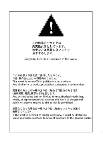 ]Ōji-sama no okinimesumama ni(The Legend of Zelda)sample Fhentai - Page 2